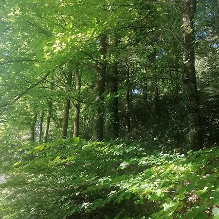 Appartement Moulin De Brezal Et étang à 20 Minute De La Plounéventer